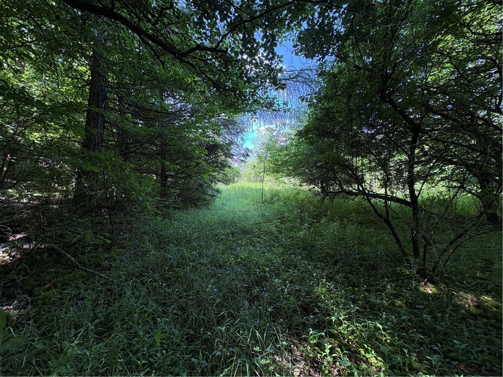 Stage Road South Otselic, NY 13155 - Photo 9 of 29