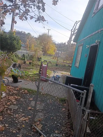 a view of a backyard with plants and a grill
