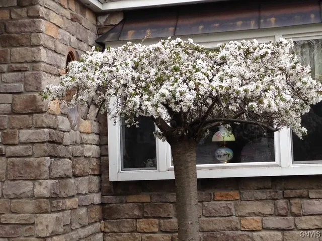 $305,000 | 2642 Remington Road, Utica, NY 13501