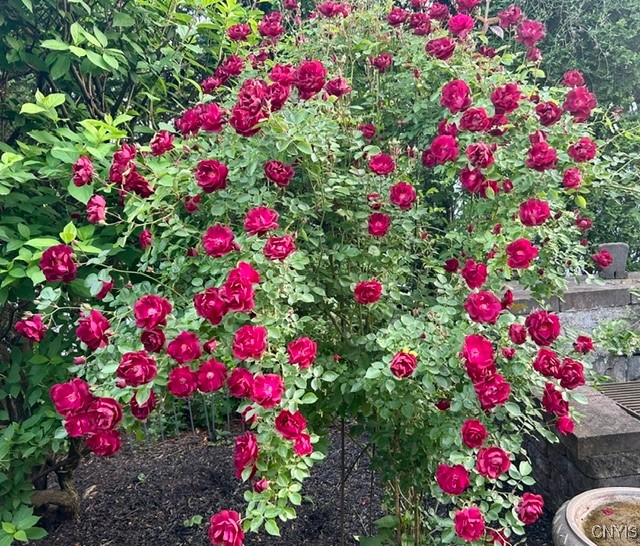 2642 Remington Road Utica, NY 13501 - Photo 44 of 49