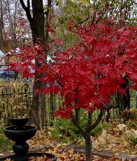 2642 Remington Road Utica, NY 13501 - Photo 49 of 49