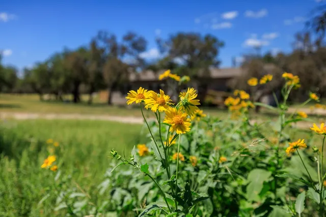 $398,000 | 429 Spanish Oak Trail, Harper, TX 78631