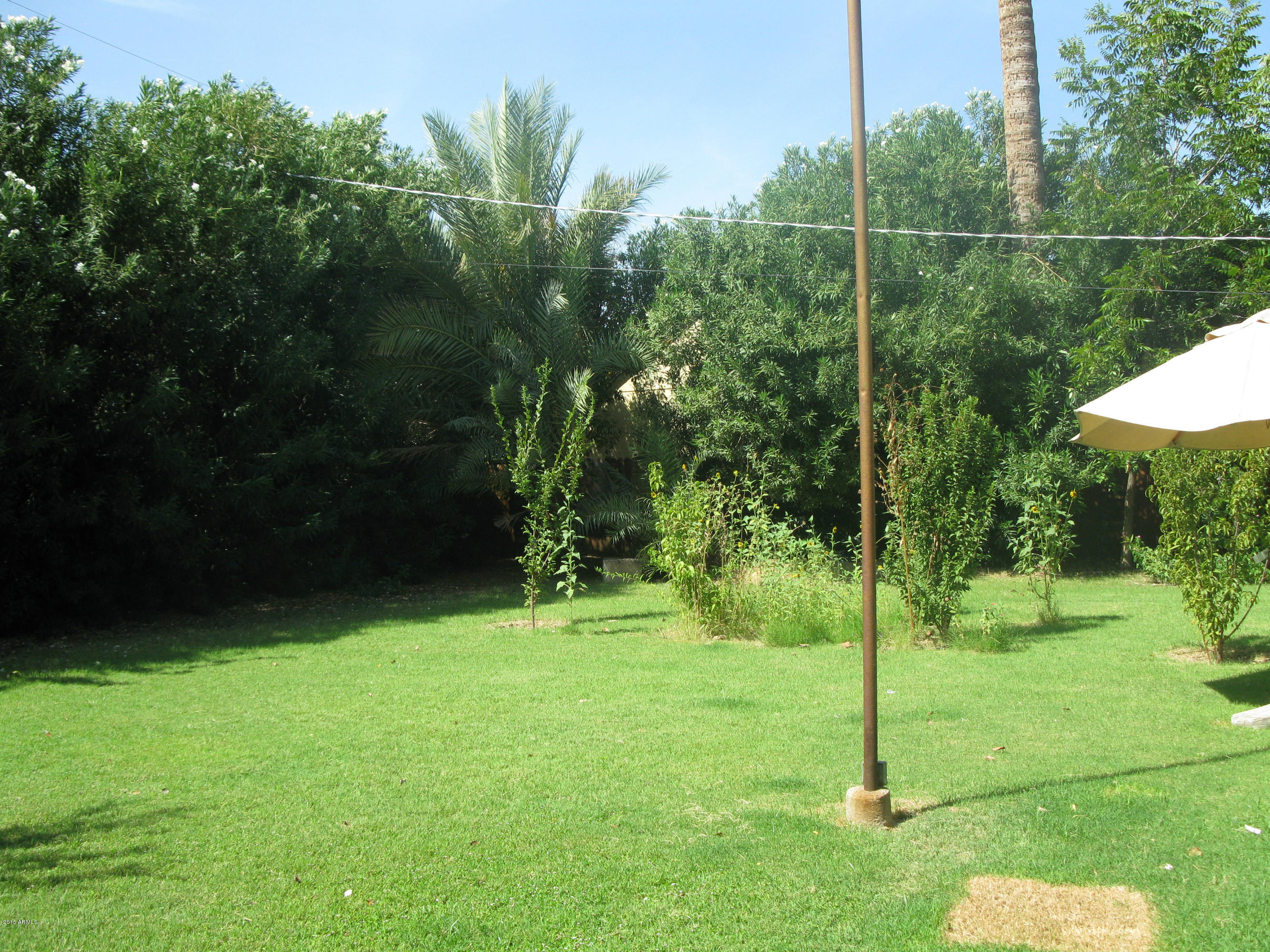 1459 East Flower Street Phoenix, AZ 85014 - Photo 33 of 40 Big backyard