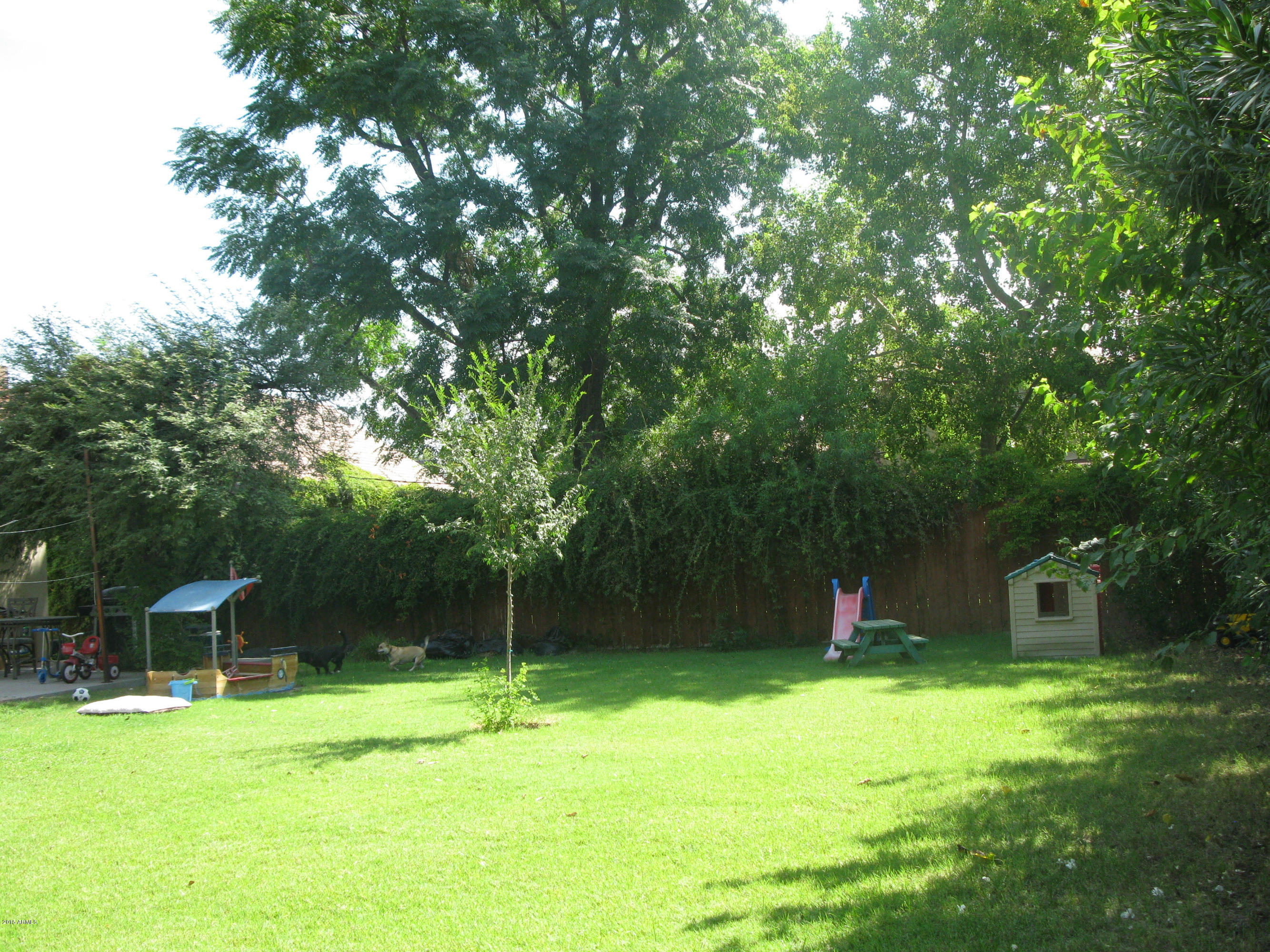 1459 East Flower Street Phoenix, AZ 85014 - Photo 34 of 40 Mature shade & citrus trees