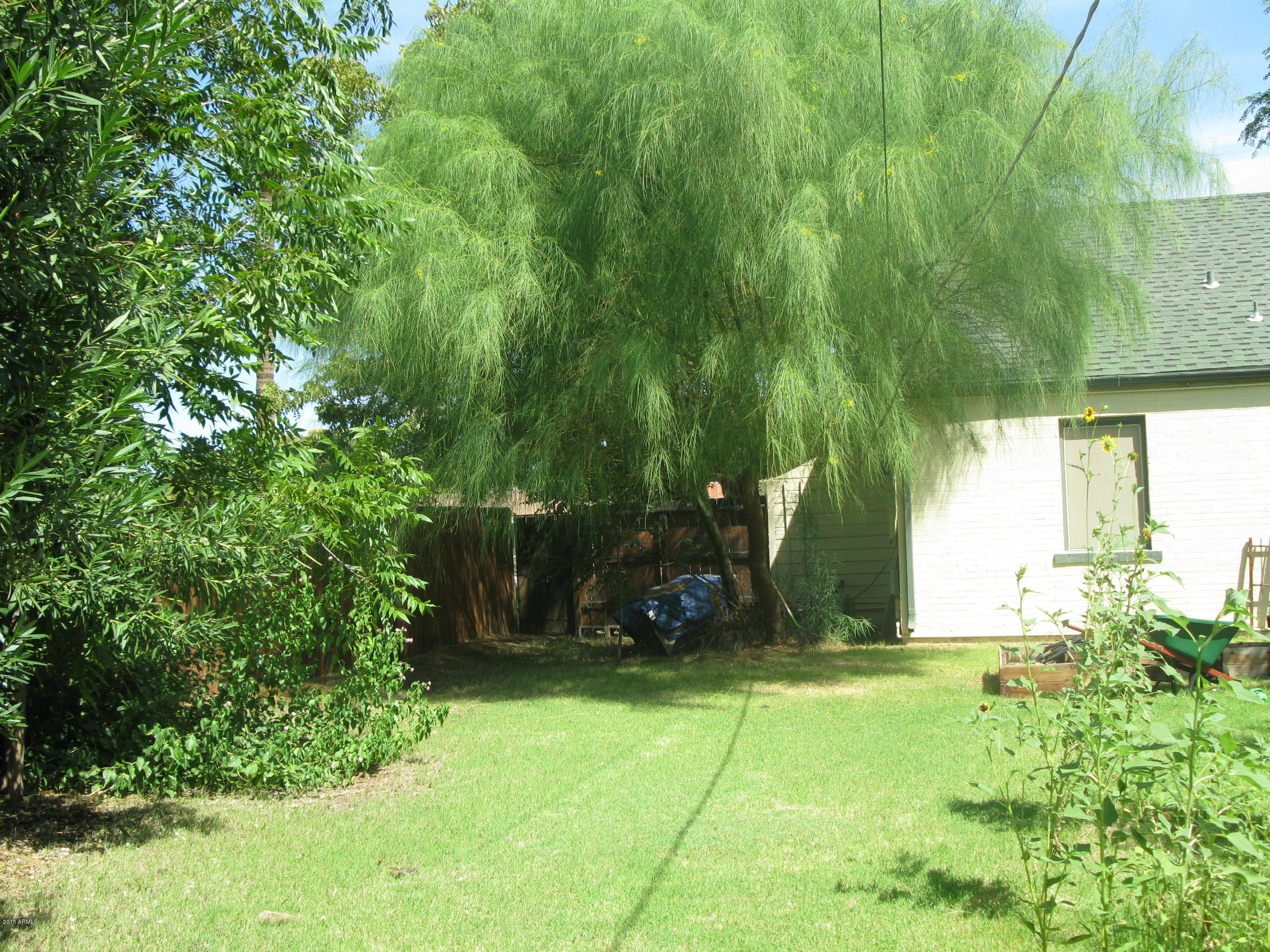 1459 East Flower Street Phoenix, AZ 85014 - Photo 35 of 40 West side of backyard