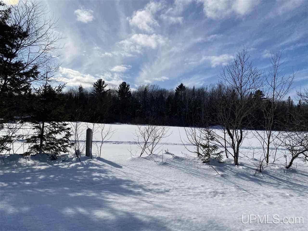 Tbd Halverson Road Skandia, MI 49885 - Photo 9 of 14