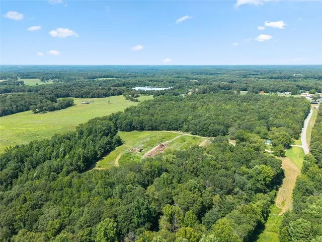 a view of a city with lush green forest