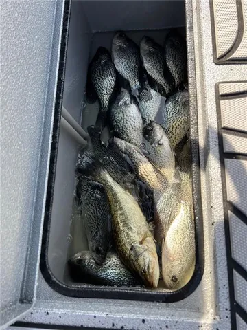 $3,000,000 | 0 Boleman Hill Road, Hartwell, GA 30643