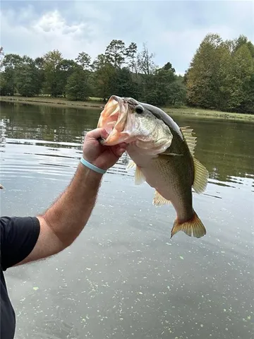 $3,000,000 | 0 Boleman Hill Road, Hartwell, GA 30643