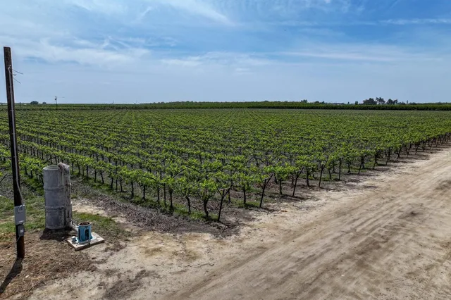 $6,800,000 | 0 Road 176, Exeter, CA 93221