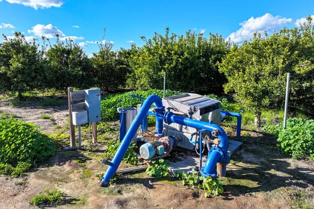 $6,800,000 | 0 Road 176, Exeter, CA 93221