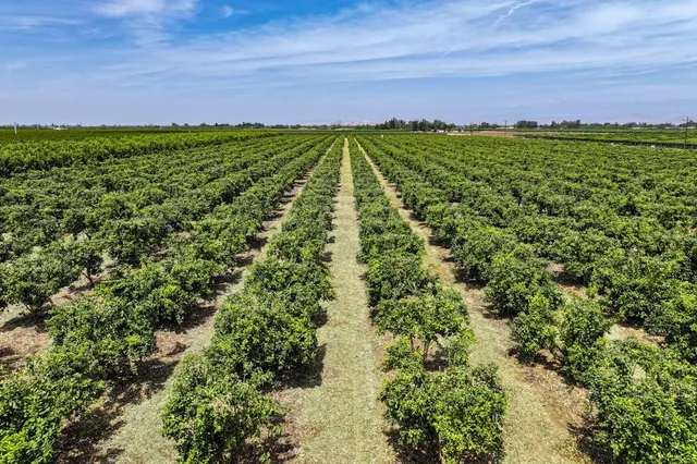 $6,800,000 | 0 Road 176, Exeter, CA 93221