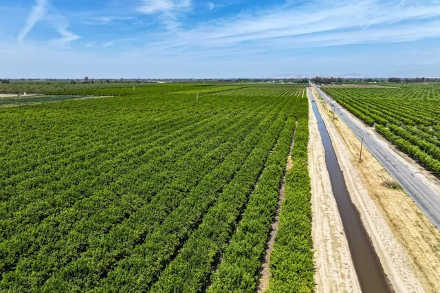 $6,800,000 | 0 Road 176, Exeter, CA 93221