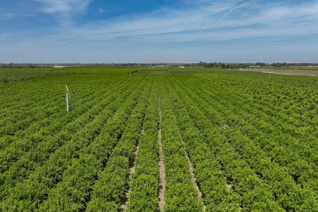 $6,800,000 | 0 Road 176, Exeter, CA 93221