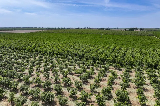 $6,800,000 | 0 Road 176, Exeter, CA 93221