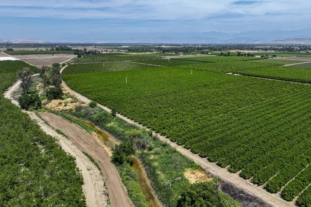 $6,800,000 | 0 Road 176, Exeter, CA 93221