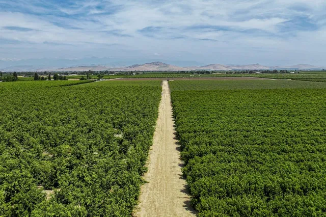 $6,800,000 | 0 Road 176, Exeter, CA 93221