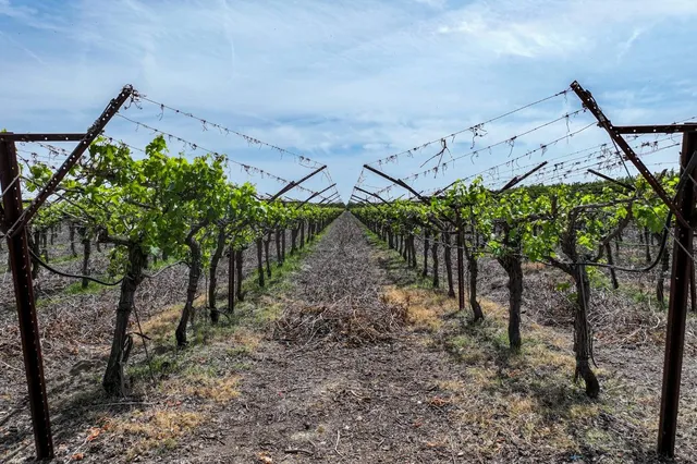 $6,800,000 | 0 Road 176, Exeter, CA 93221