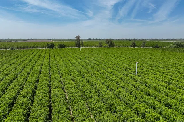 $6,800,000 | 0 Road 176, Exeter, CA 93221