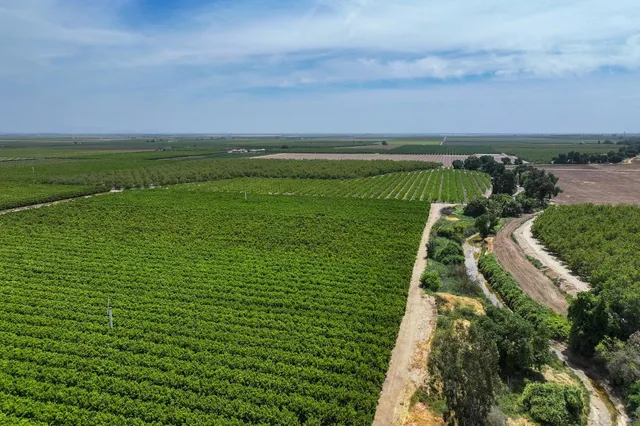 $6,800,000 | 0 Road 176, Exeter, CA 93221