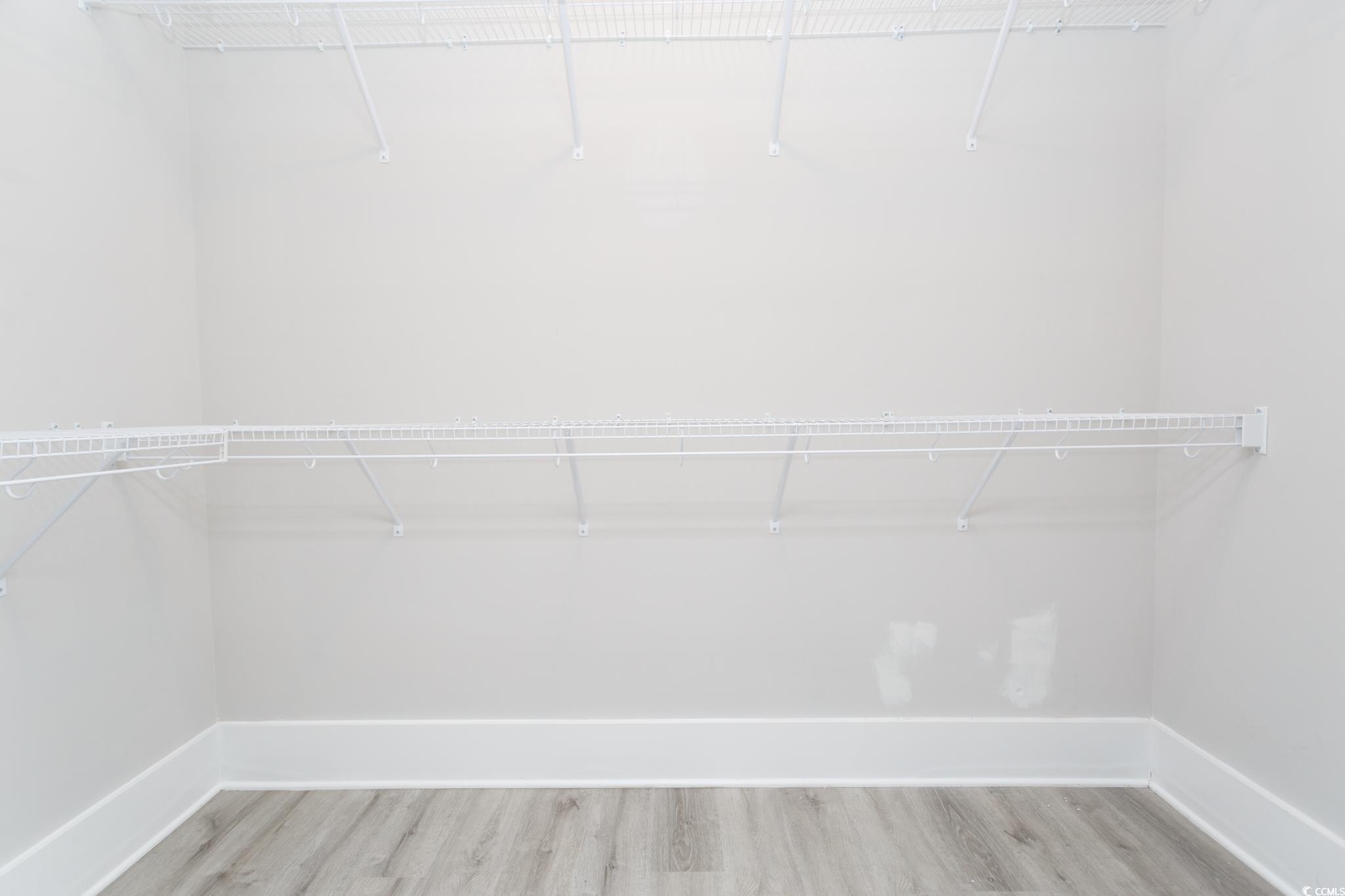 261 Marsh Tacky Loop Myrtle Beach, SC 29588 - Photo 26 of 40 Walk in closet with light hardwood / wood-style floors