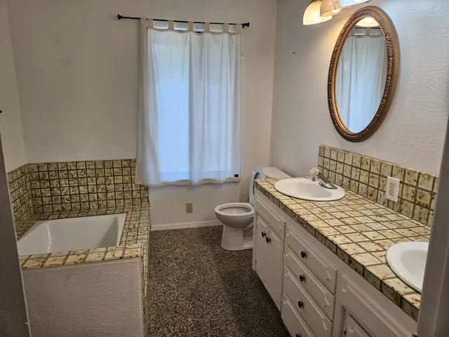 a bathroom with a sink a toilet and a mirror