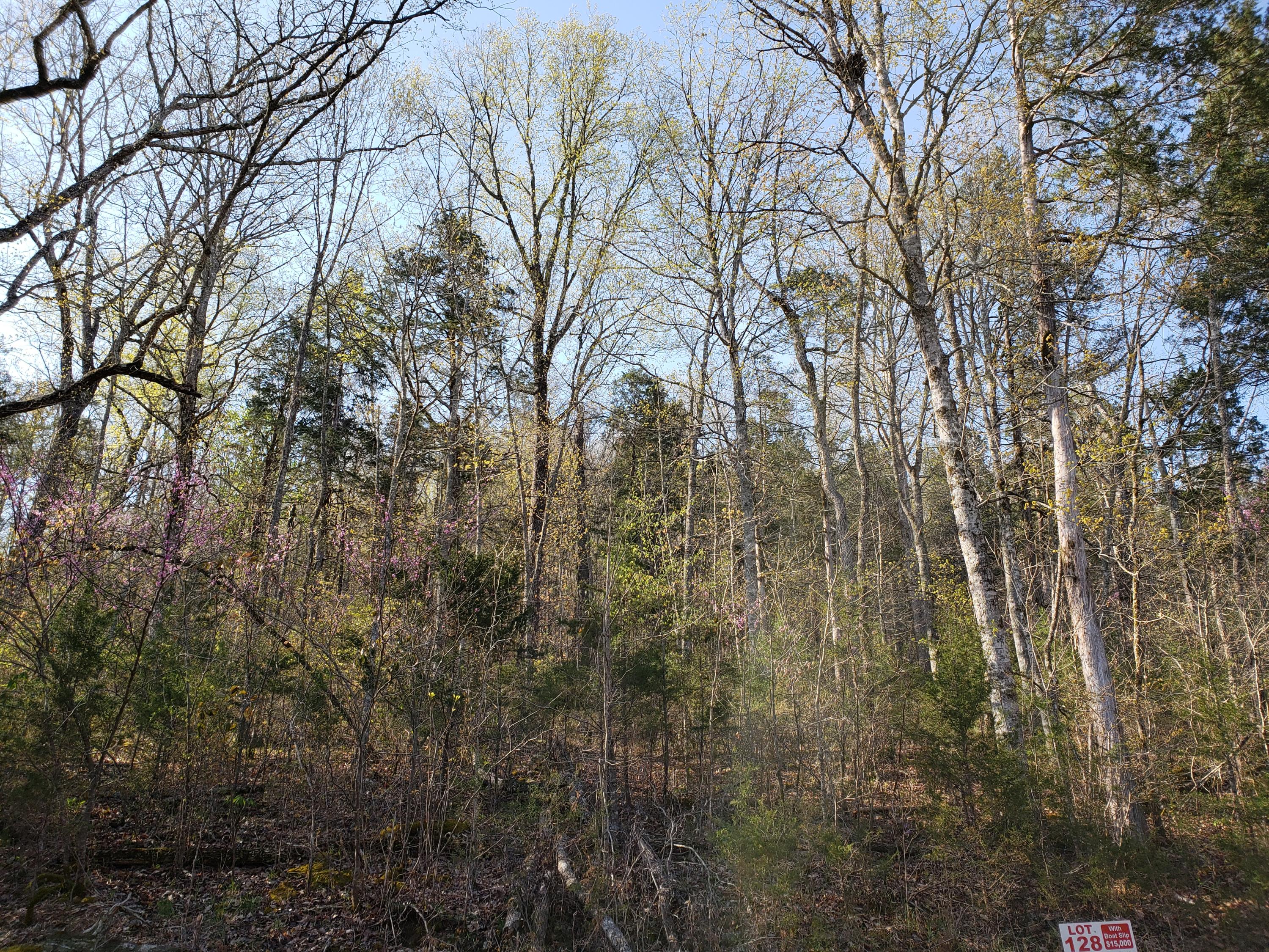 Lot 128 Eagles Ridge Tazewell, TN 37879 - Photo 11 of 20 11