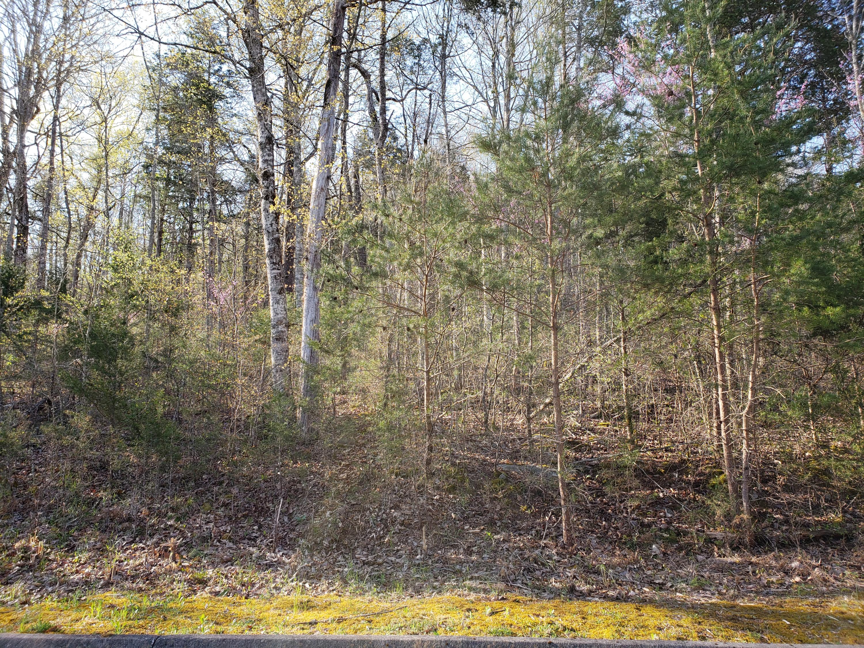 Lot 128 Eagles Ridge Tazewell, TN 37879 - Photo 12 of 20 12