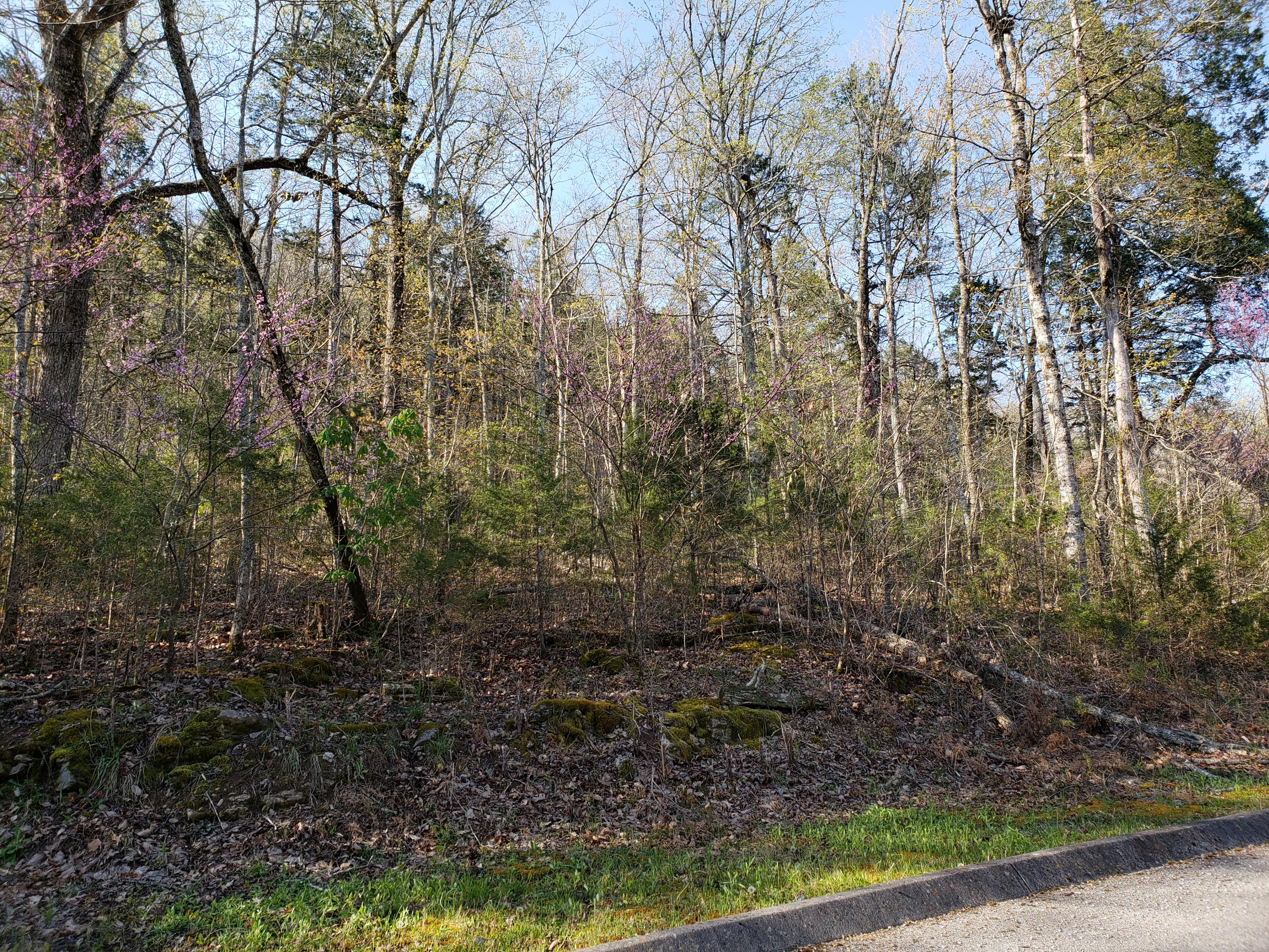 Lot 128 Eagles Ridge Tazewell, TN 37879 - Photo 8 of 20 8