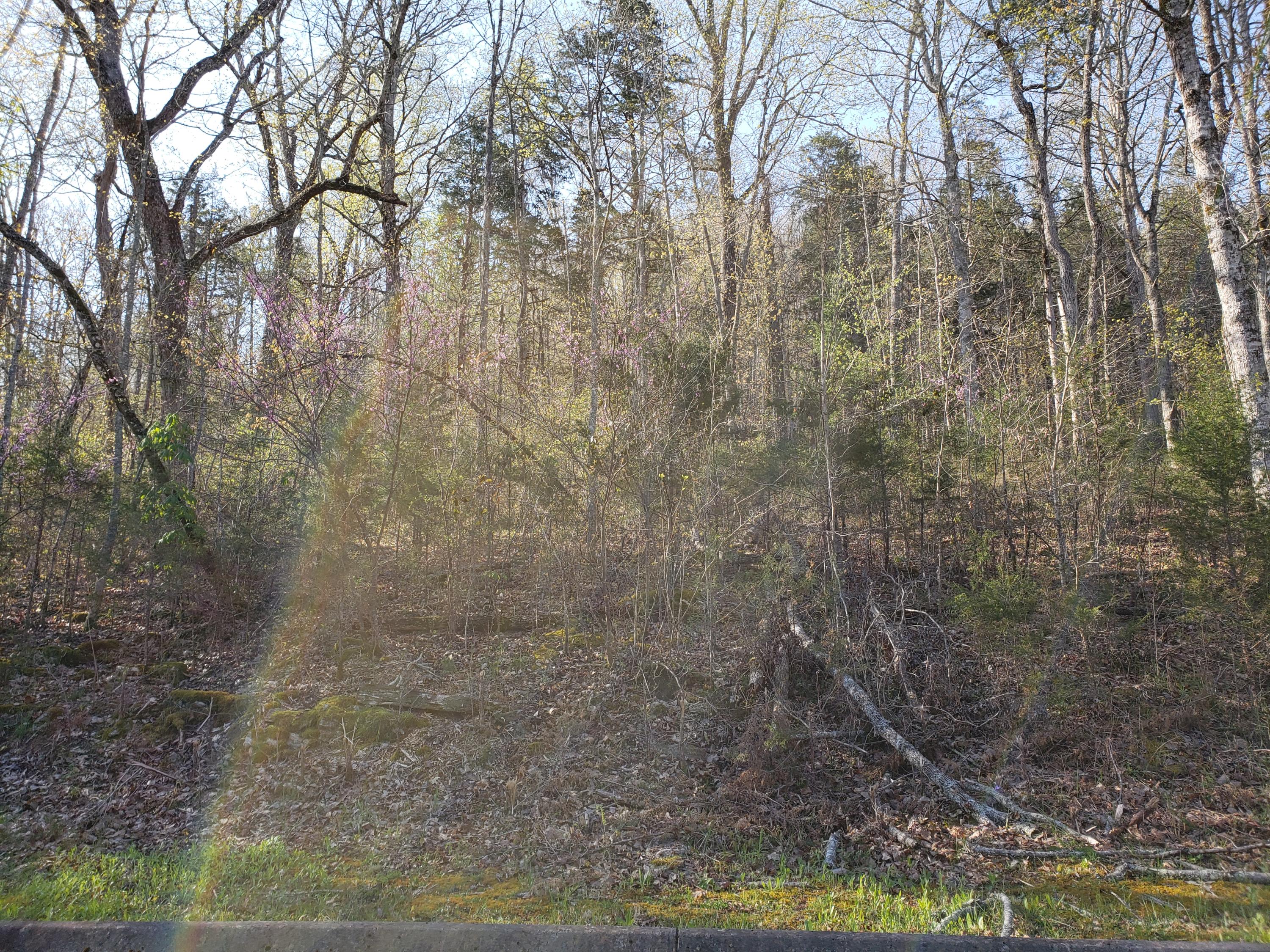 Lot 128 Eagles Ridge Tazewell, TN 37879 - Photo 9 of 20 9