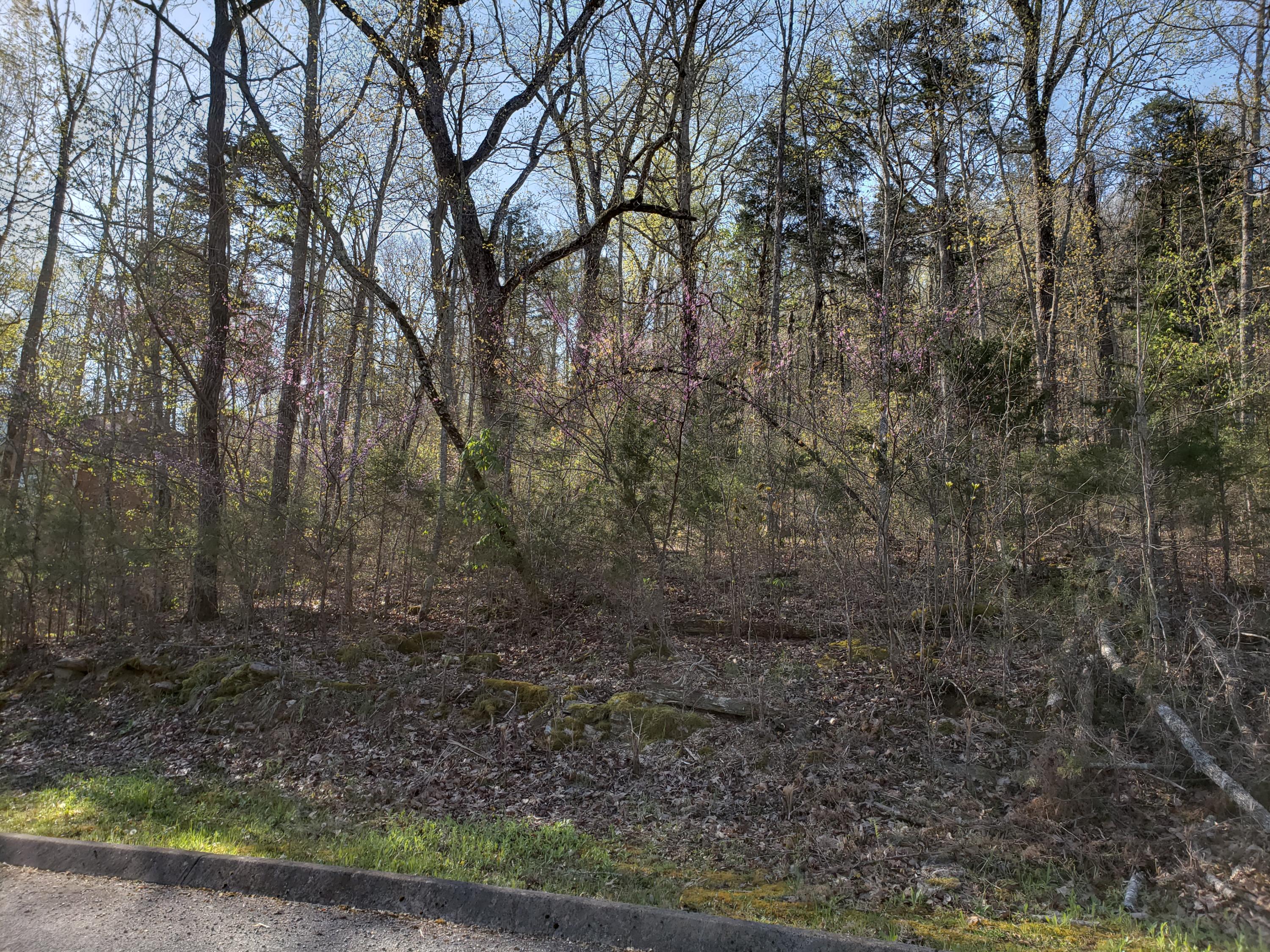 Lot 128 Eagles Ridge Tazewell, TN 37879 - Photo 10 of 20 10