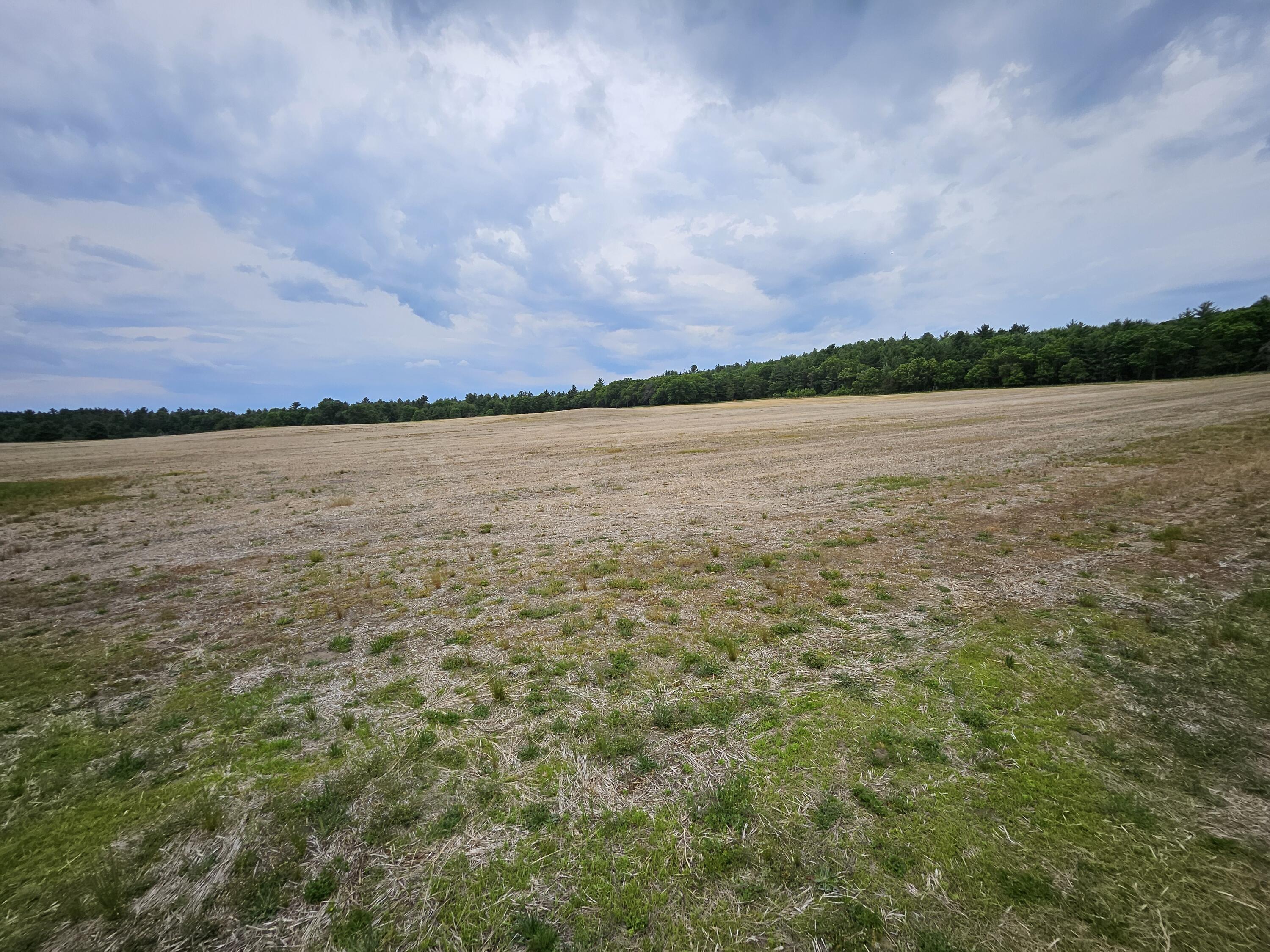 1504 Atom Road Lincoln, WI 54666 - Photo 25 of 36 20260604_163325