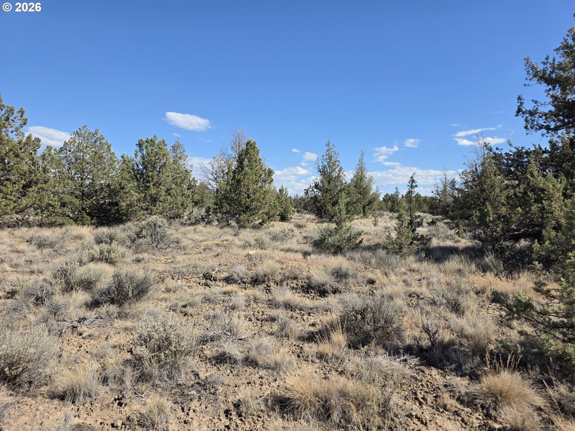 0 Southeast Cayuse Road, Unit TL900 Prineville, OR 97754 - Photo 3 of 8