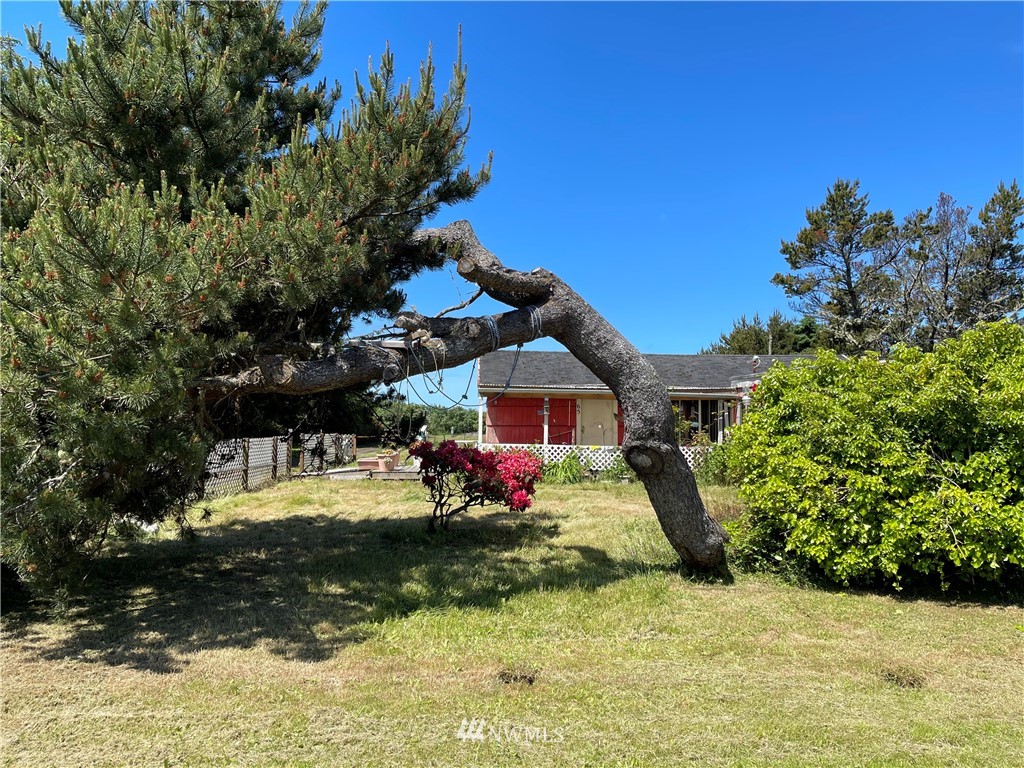 65 Chickamin Road Ocean Shores, WA 98569 - Photo 14 of 19