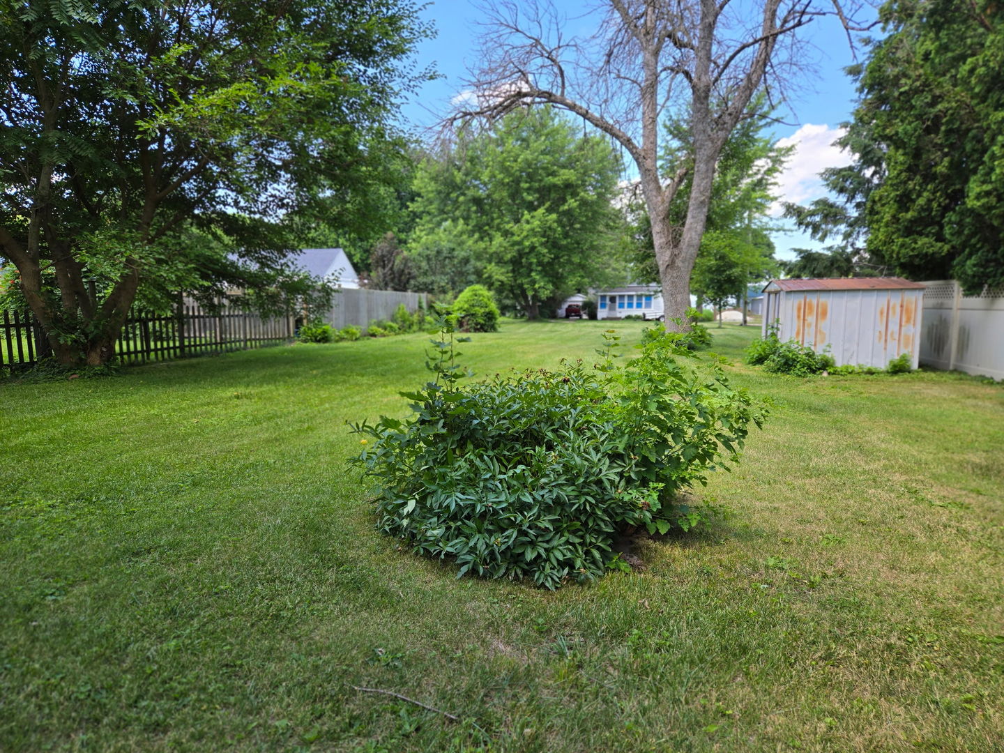 507 Emery Street Prophetstown, IL 61277 - Photo 2 of 4 a view of a tree in a yard