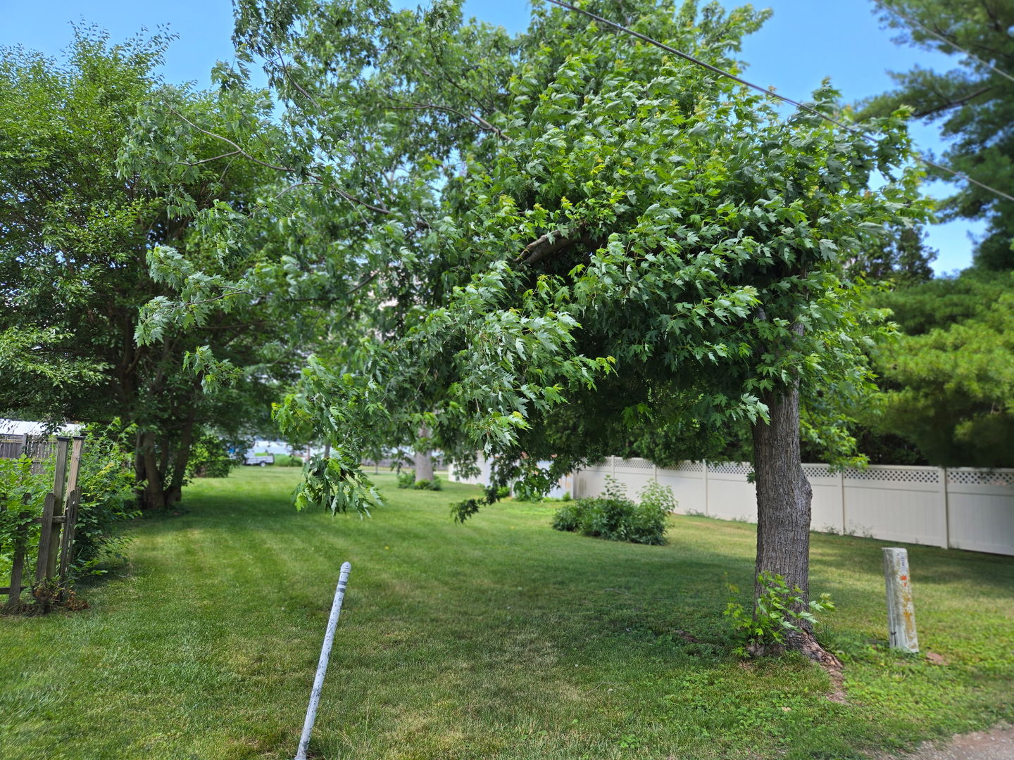 507 Emery Street Prophetstown, IL 61277 - Photo 3 of 4 a view of green field