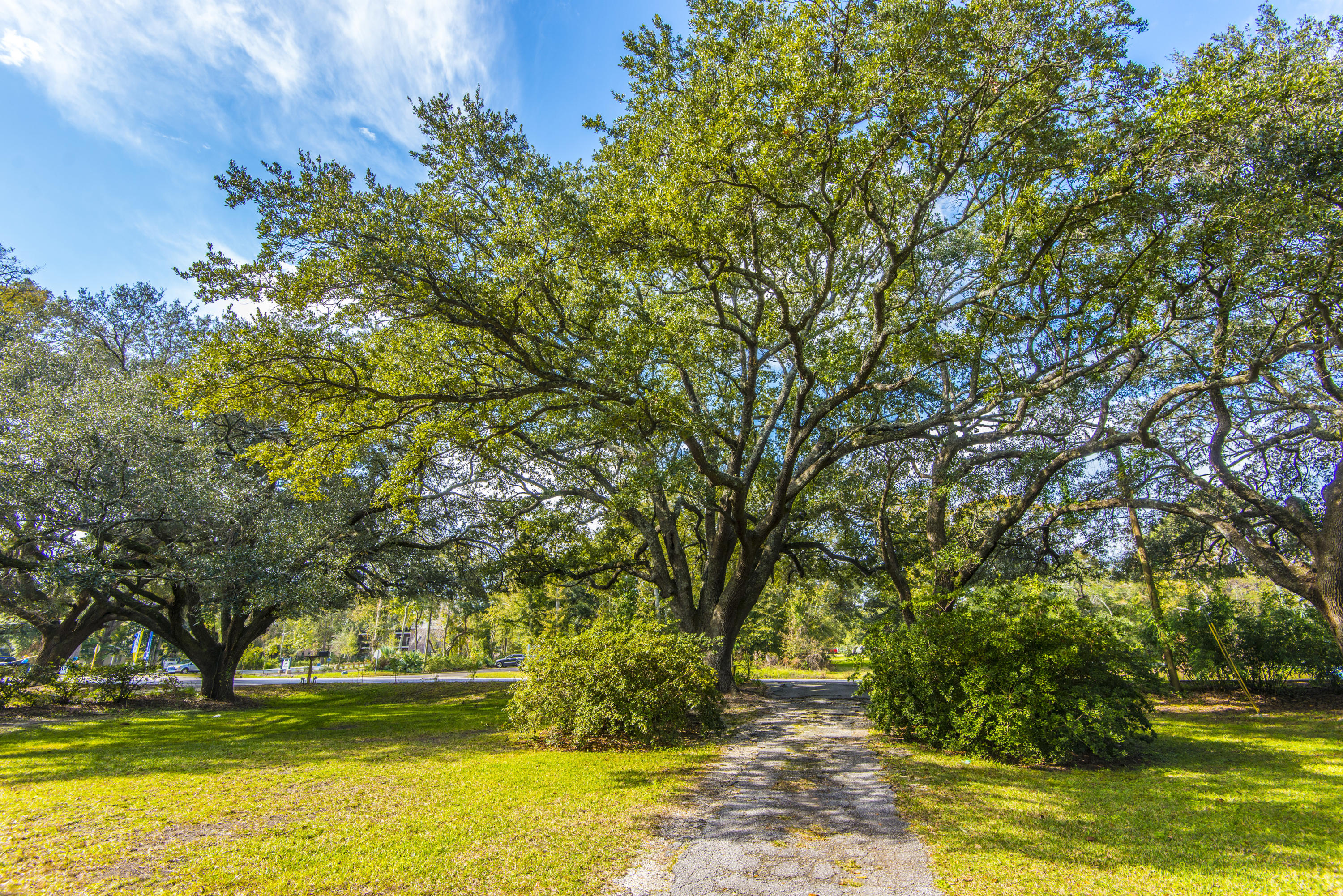 1548 Folly Road Charleston, SC 29412 - Photo 51 of 64 _DSC3470