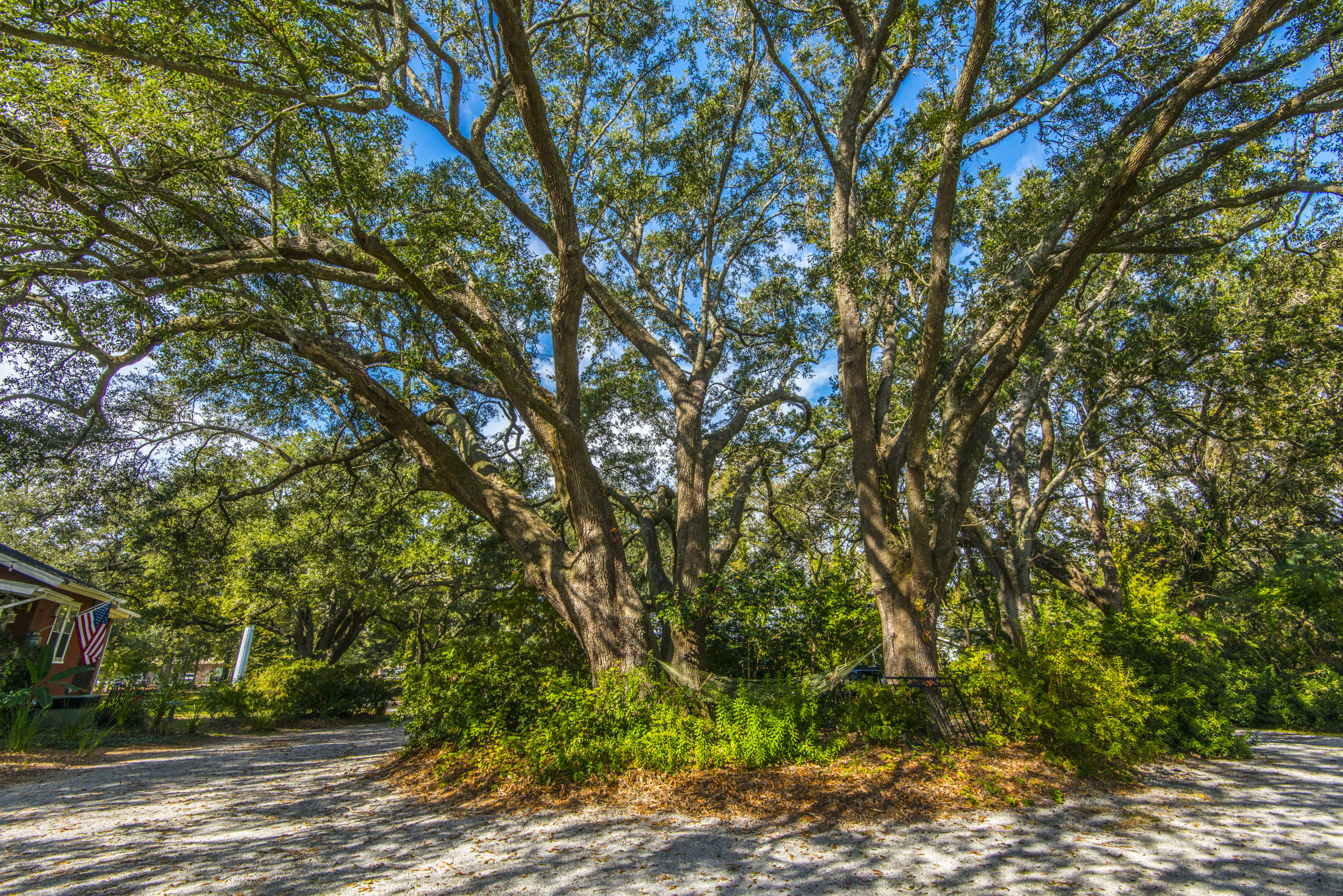 1548 Folly Road Charleston, SC 29412 - Photo 53 of 64 _DSC3487