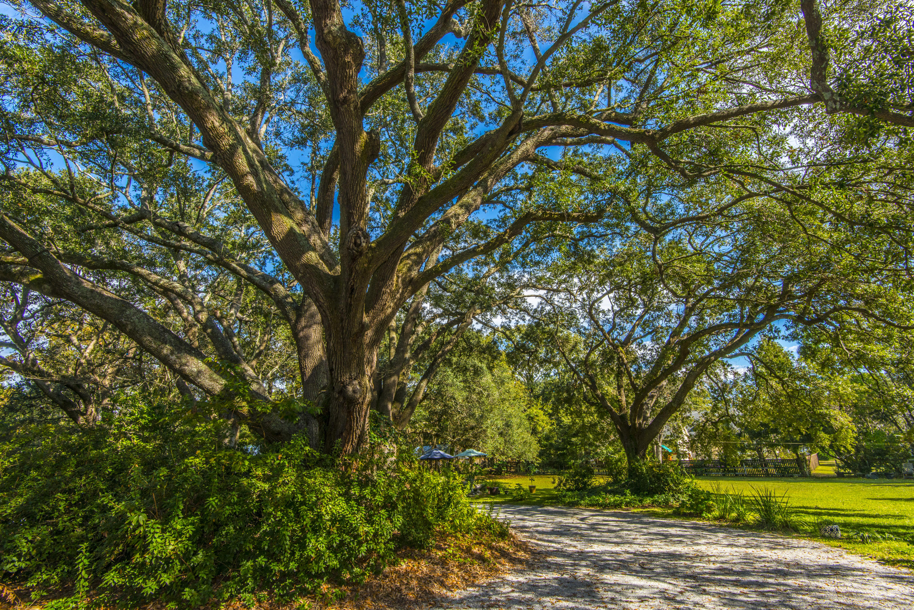 1548 Folly Road Charleston, SC 29412 - Photo 54 of 64 _DSC3484