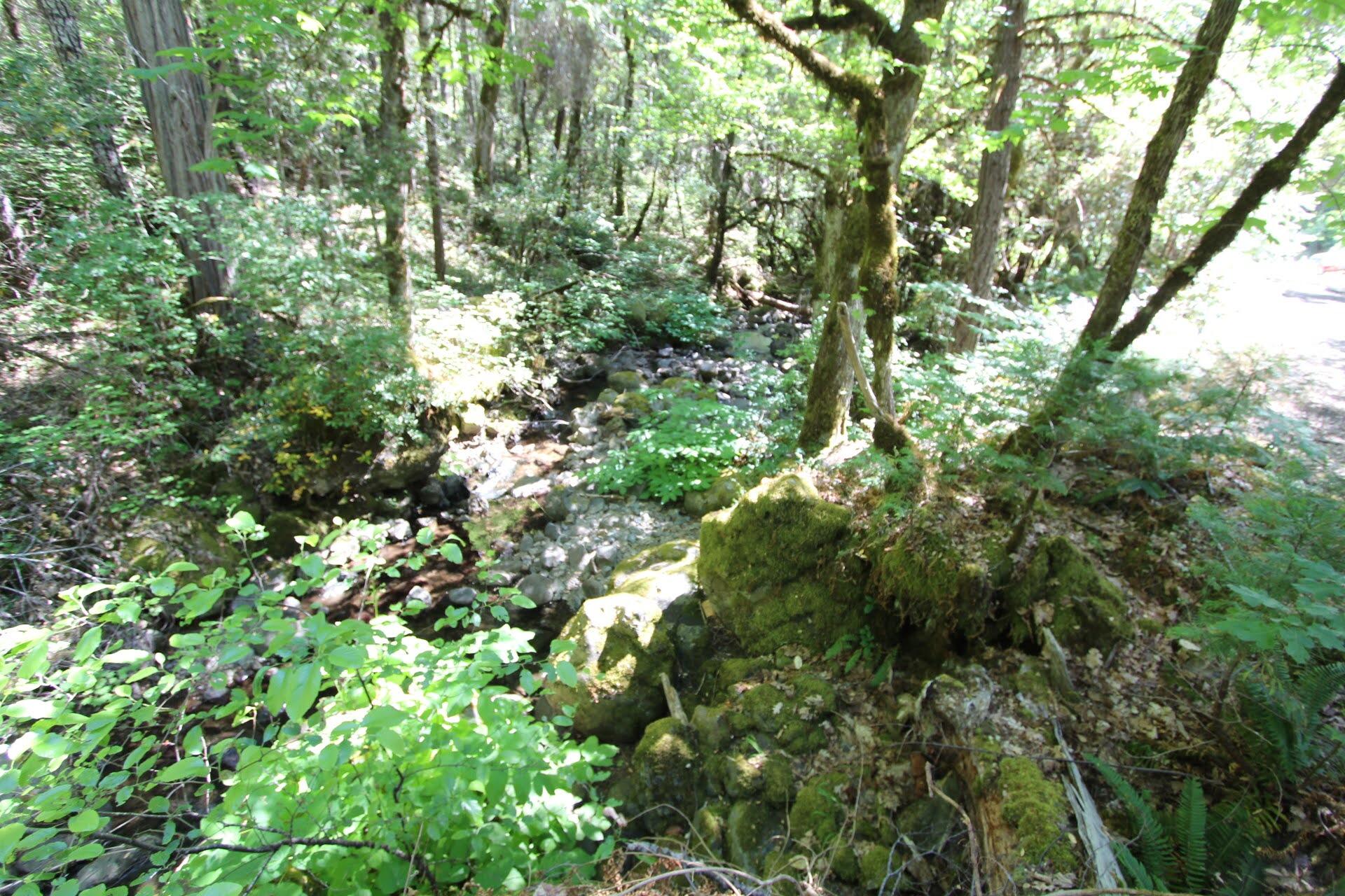114 Forest Creek Road Selma, OR 97538 - Photo 2 of 27 IMG_4929