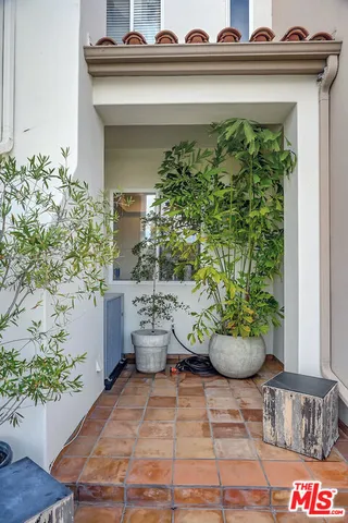 a view of a potted plants with sky view