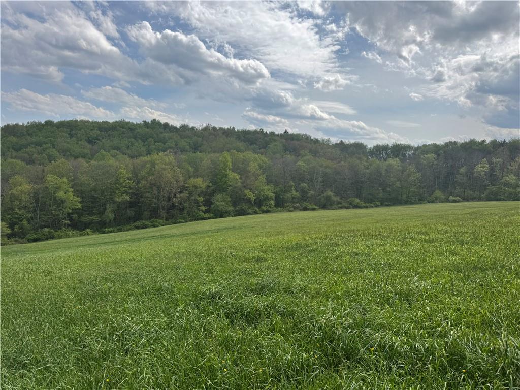 0 Grove Road Stoystown, PA 15563 - Photo 31 of 34