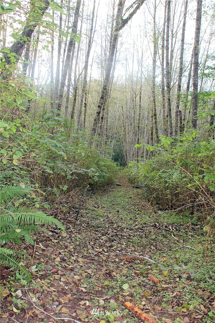 9440 Olalla Valley Road Southeast Port Orchard, WA 98367 - Photo 18 of 20 Gallery Image 18