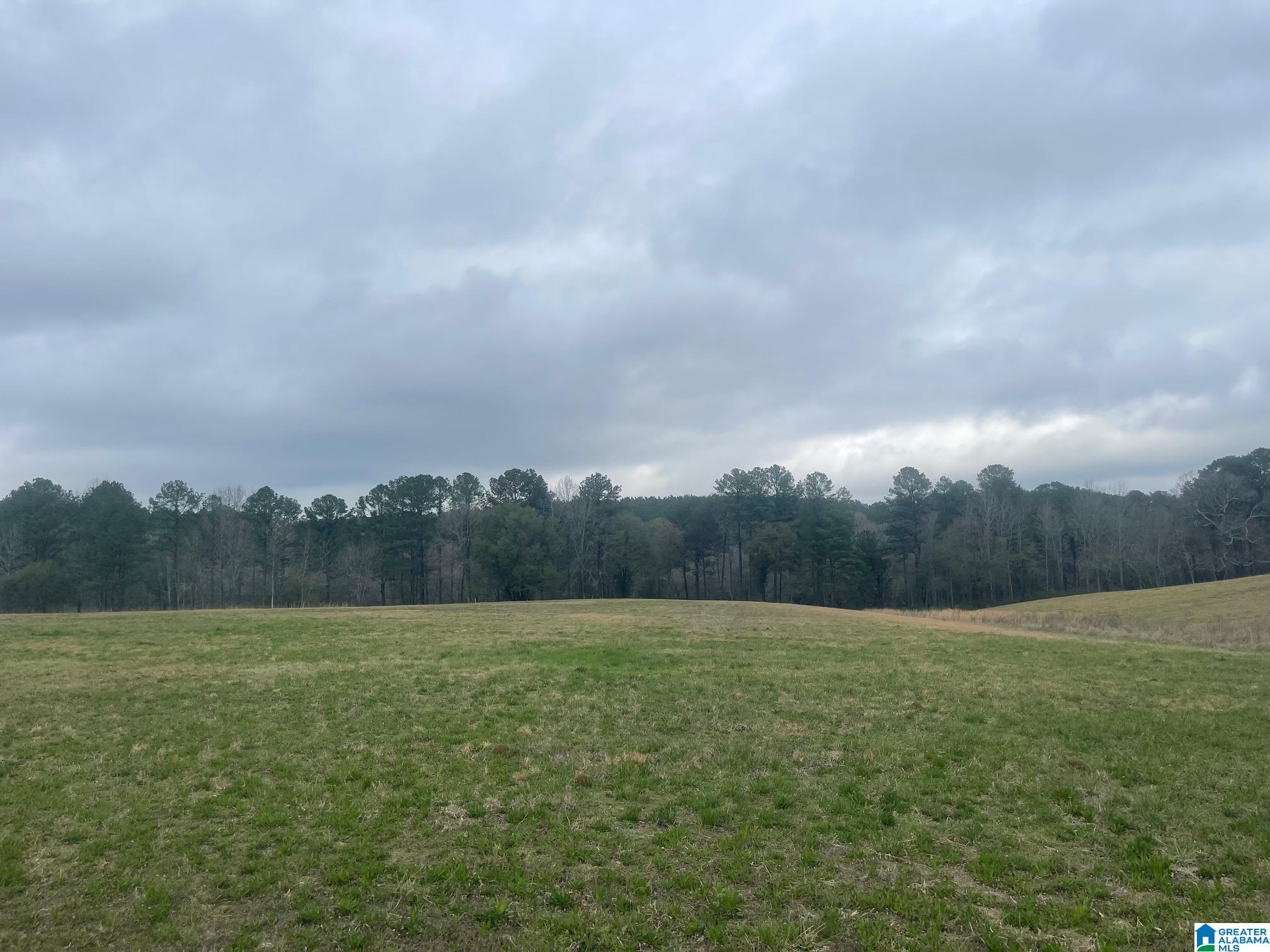 Bluegrass Lane, Unit 11 Jasper, AL 35503 - Photo 36 of 38