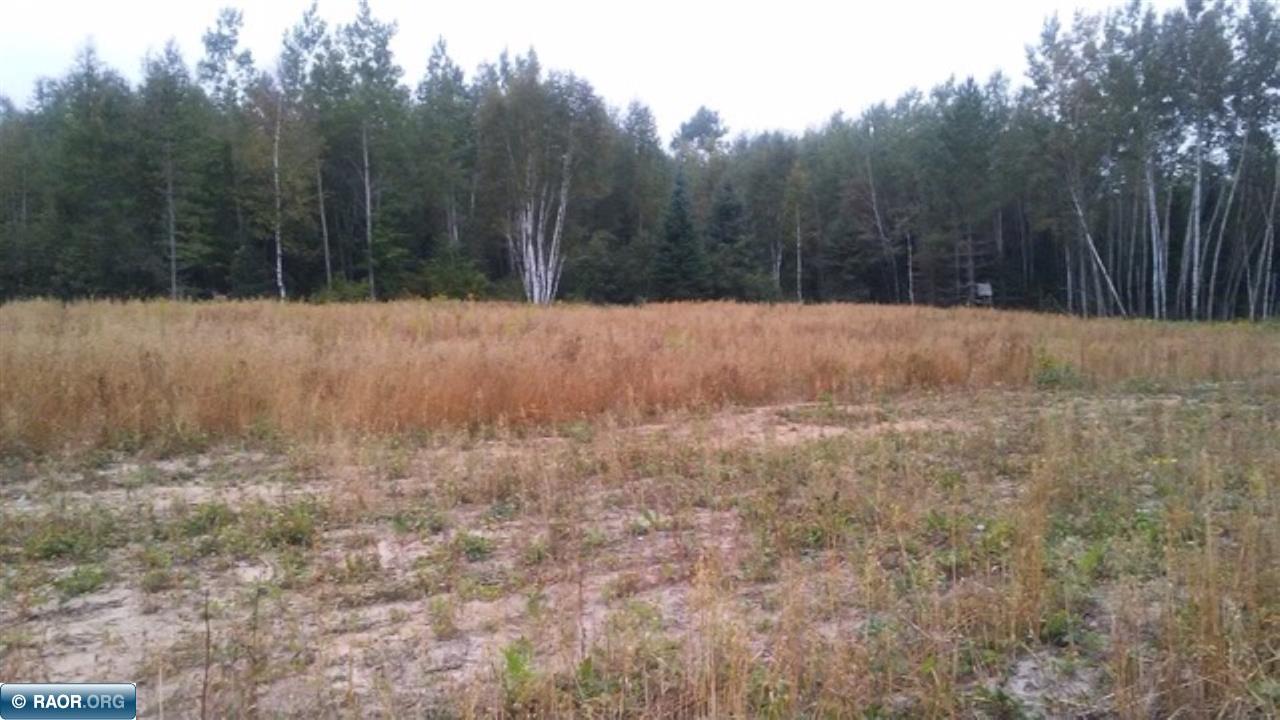 Tbd Mud Hole Road Side Lake, MN 55781 - Photo 1 of 24