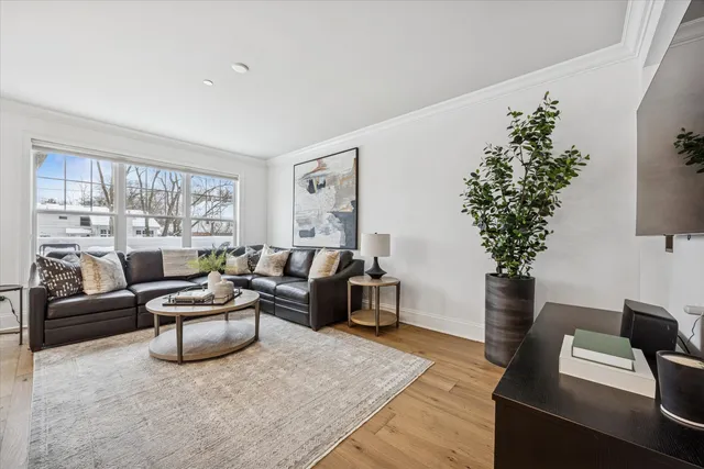 a living room with furniture and a christmas tree