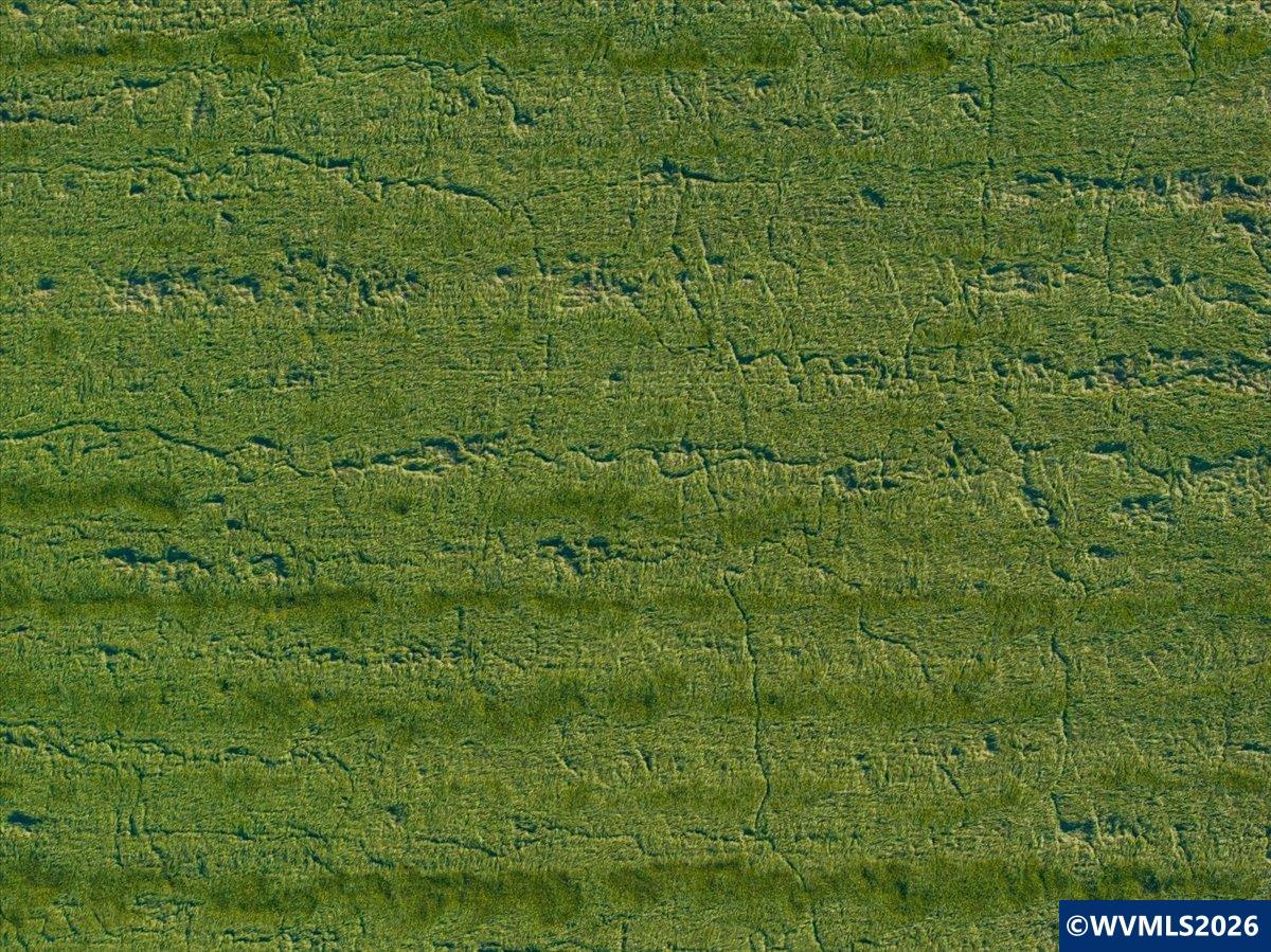 33877 Red Bridge Road Southeast Albany, OR 97322 - Photo 13 of 50 Gallery Image 13