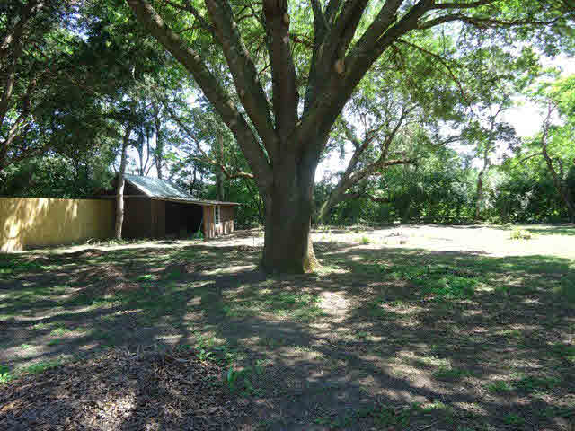 15788 Old Pierce Road Fairhope, AL 36532 - Photo 23 of 27 Side Yard