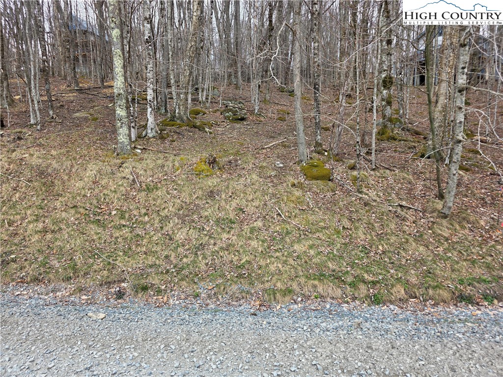 109 Hawthorne Road Beech Mountain, NC 28604 - Photo 6 of 10