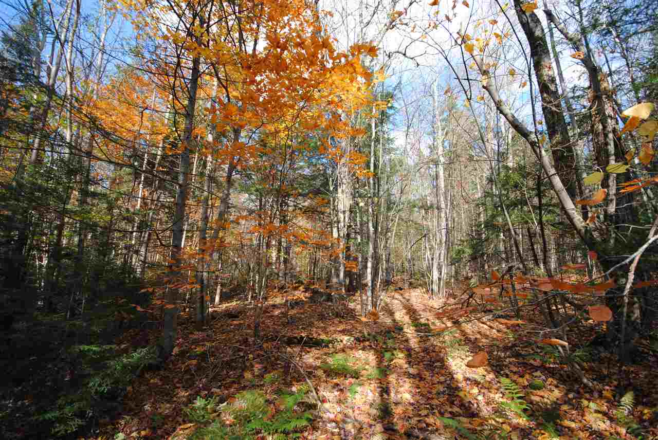 Lot 592 Stimpson Hill Road Whitingham, VT 05361 - Photo 8 of 13 Gallery Image 8